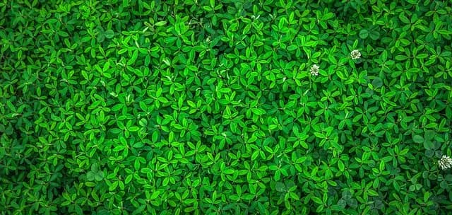 Top Eco-Friendly Household Items for Sustainable Living